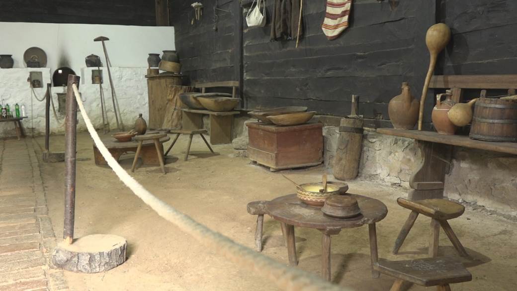 vojvoda zvojin misic biografija poreklo detalji privatni zivot