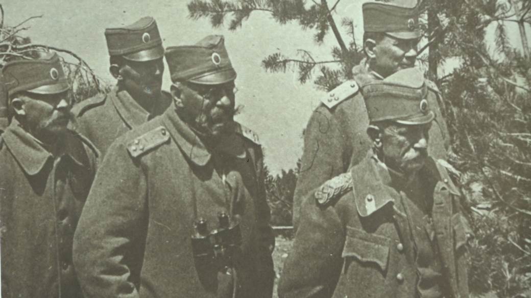 vojvoda zvojin misic biografija poreklo detalji privatni zivot