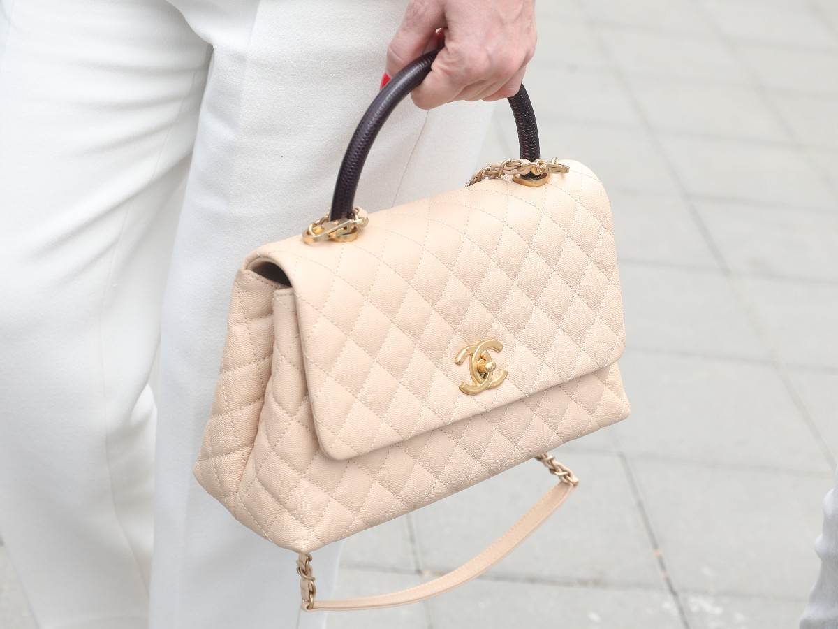 ceca raznatovic anastasija raznatovic zurka video