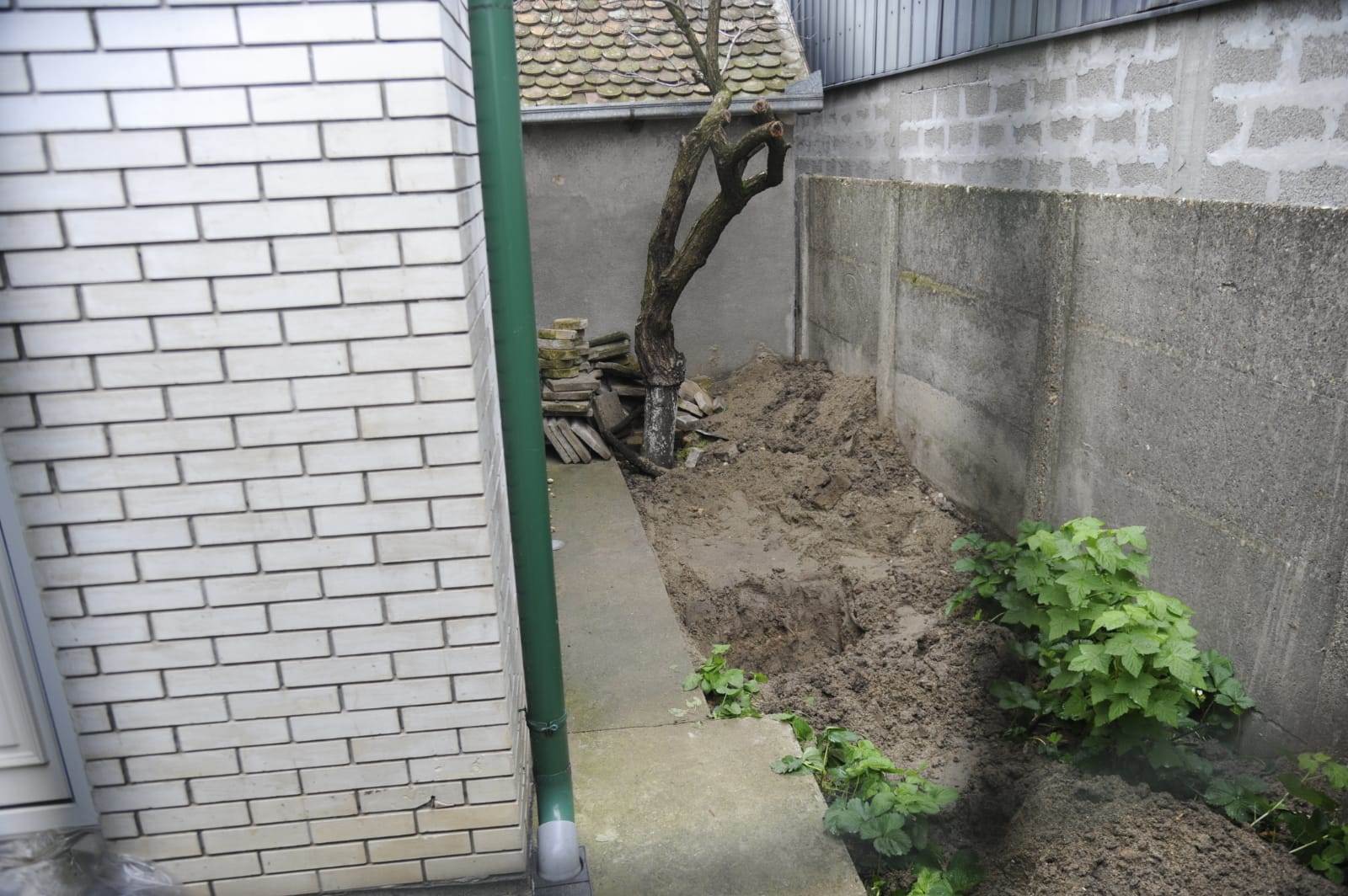 pancevo majka i sin ubili rumunku zakopali telo u dvoristu video snimak 