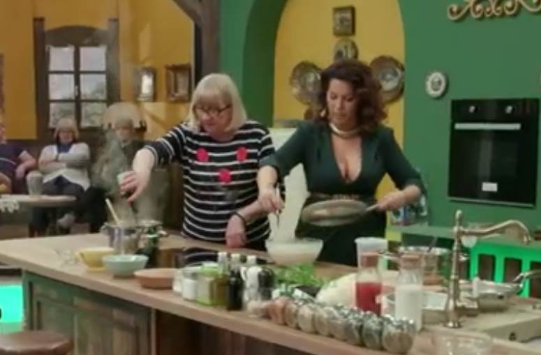 majke i snajke porodica ilic 