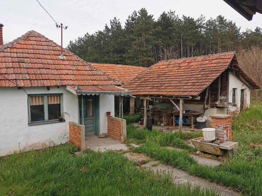 preljine mladic osoba sa invaliditetom zivi od socijalne pomoci